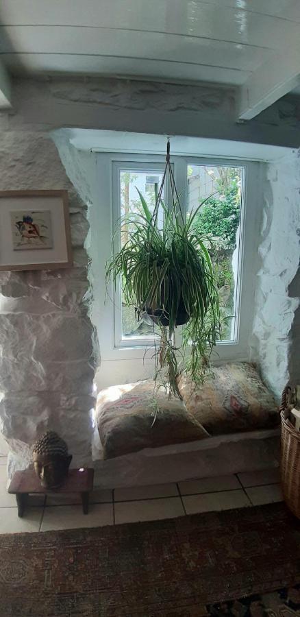 Cozy Carbence Cottage Carbis Bay Exteriér fotografie